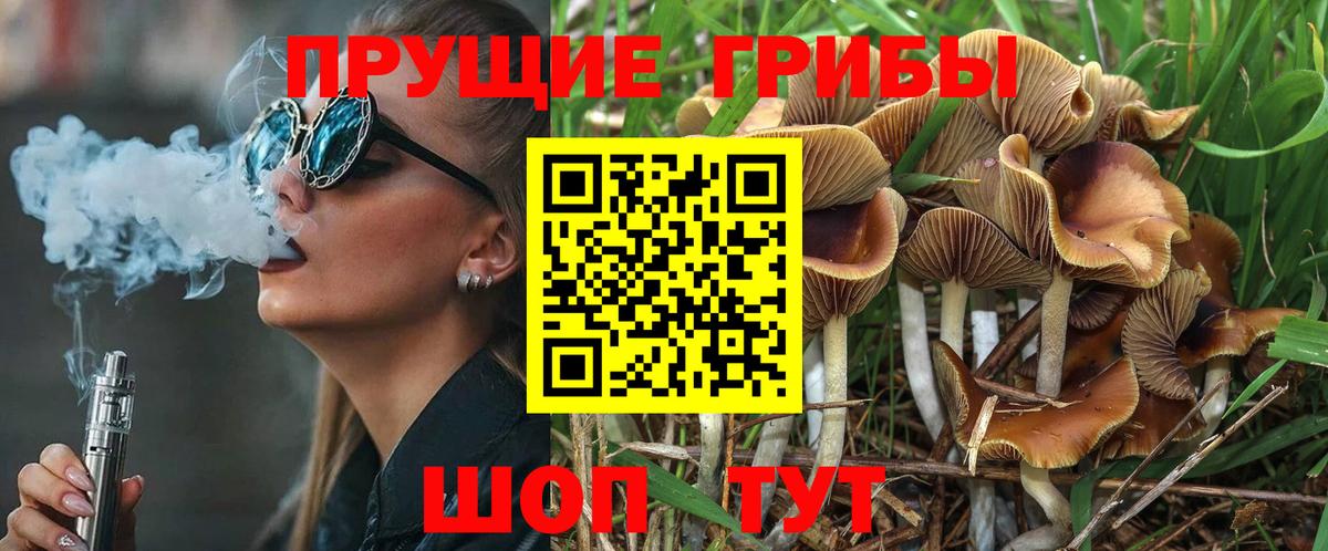Галлюциногенные грибы GOLDEN TEACHER  Вход с VPN  Тимашёвск 