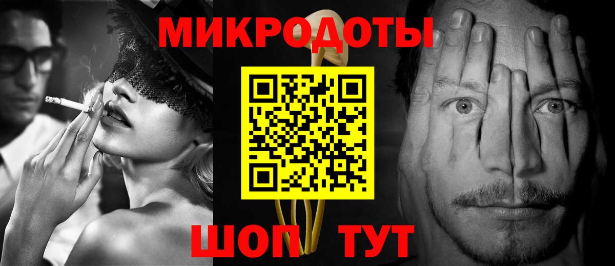 Галлюциногенные грибы Psilocybe Тимашёвск